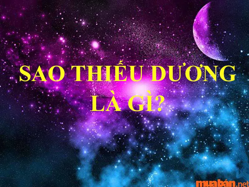 Sao Thiếu Dương là gì? Bình giải ý nghĩa tại mệnh và các cung mệnh khác