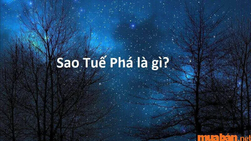 Sao Tuế phá là gì? Luận bàn ý nghĩa đặc biệt Sao Tuế Phá trong lá số tử vi