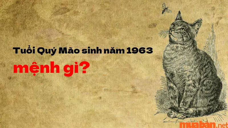 Sinh Năm 1963 Mệnh Gì? Nam Nữ Quý Mão 1963 Hợp Tuổi Gì, Màu Nào?