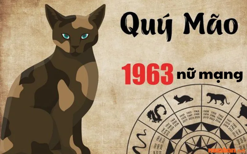 Sinh Năm 1963 Mệnh Gì? Nam Nữ Quý Mão 1963 Hợp Tuổi Gì, Màu Nào?