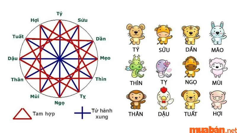 Sinh năm 1966 mệnh gì? Hợp tuổi gì, hướng gì?