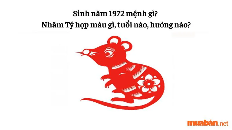 Sinh năm 1972 mệnh gì? Nhâm Tý hợp màu gì, tuổi nào, hướng nào?