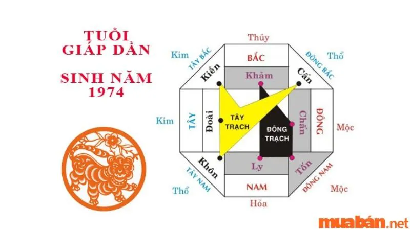 Sinh năm 1974 mệnh gì? Giáp Dần hợp màu gì, tuổi nào, hướng nào?