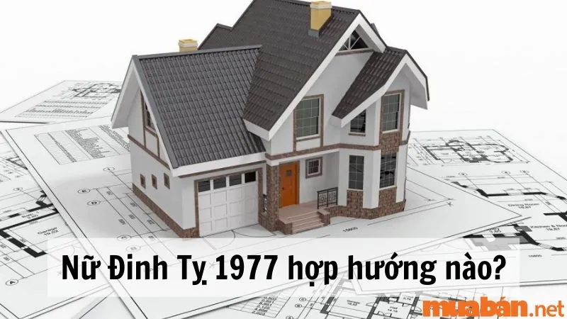 Sinh năm 1977 hợp hướng nào? Cách bố trí nhà ở thu hút tài lộc