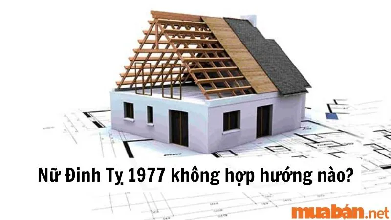 Sinh năm 1977 hợp hướng nào? Cách bố trí nhà ở thu hút tài lộc