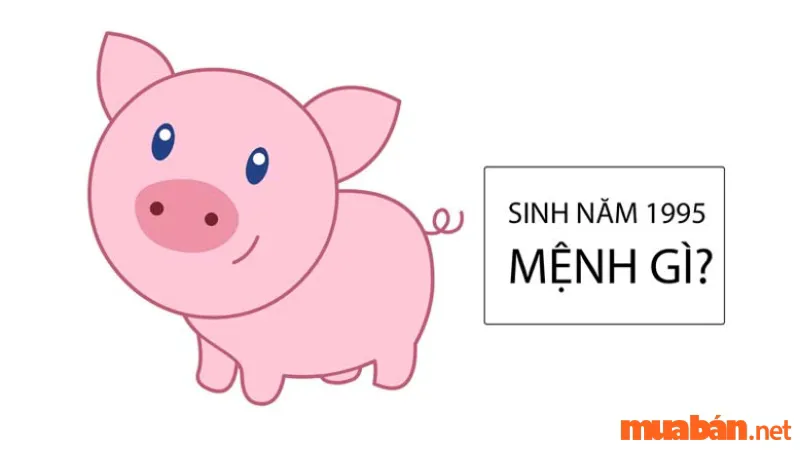 Sinh năm 1995 mệnh gì? Hợp màu gì? Hợp tuổi nào?