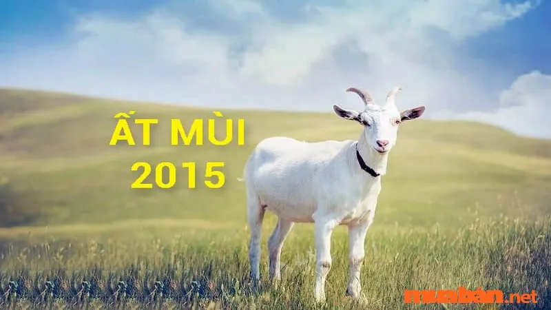 Sinh năm 2015 Mệnh Gì? Hợp tuổi nào? Hướng nào? Màu gì?