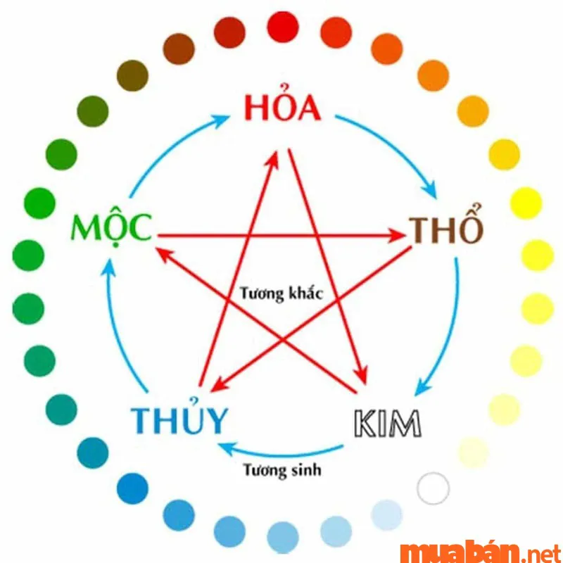 Sinh Năm 2017 Mệnh Gì, Hợp Màu Gì, Tử Vi và Phong Thủy