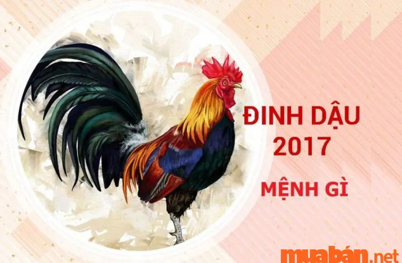 Sinh Năm 2017 Mệnh Gì, Hợp Màu Gì, Tử Vi và Phong Thủy