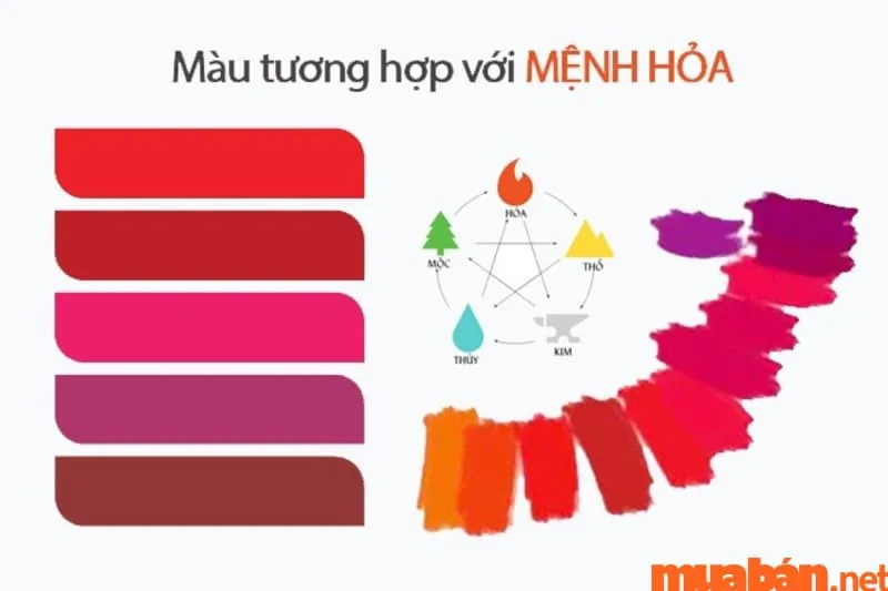 Sinh Năm 2017 Mệnh Gì, Hợp Màu Gì, Tử Vi và Phong Thủy