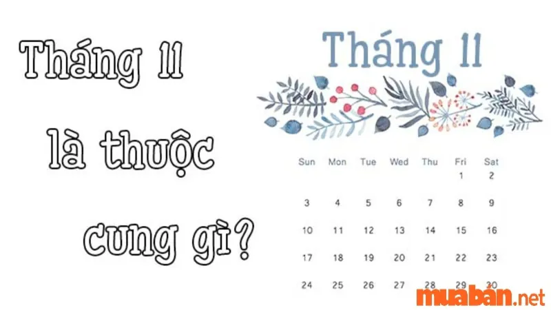 Sinh tháng 11 cung gì? Vận mệnh, tình yêu và sự nghiệp cung tháng 11