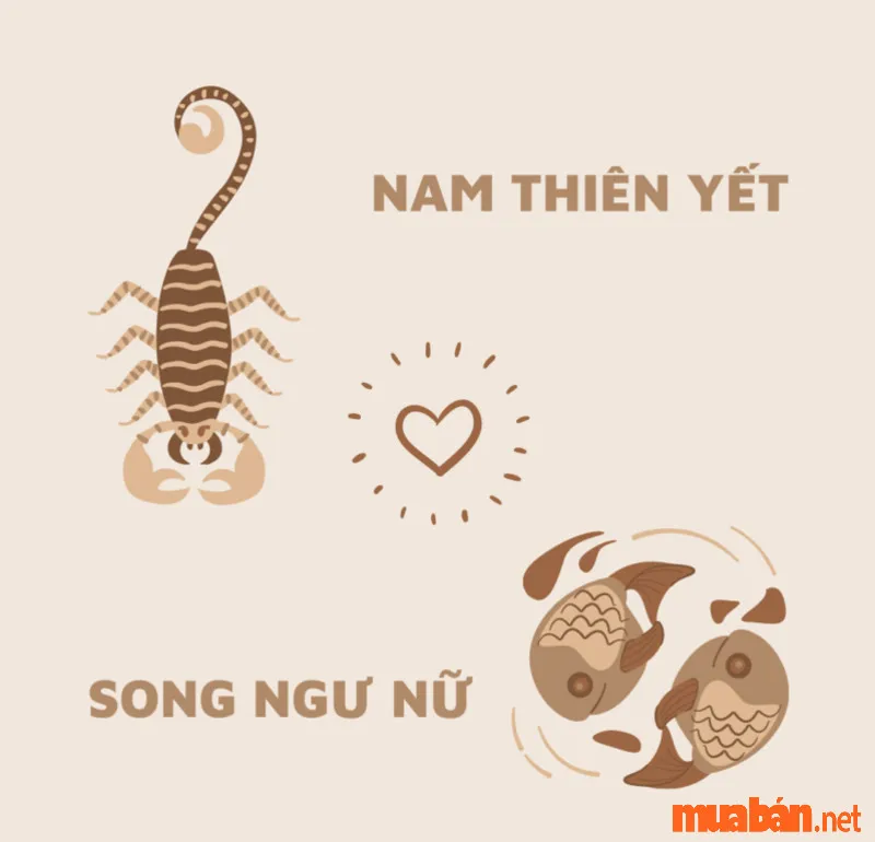 Sinh tháng 11 cung gì? Vận mệnh, tình yêu và sự nghiệp cung tháng 11