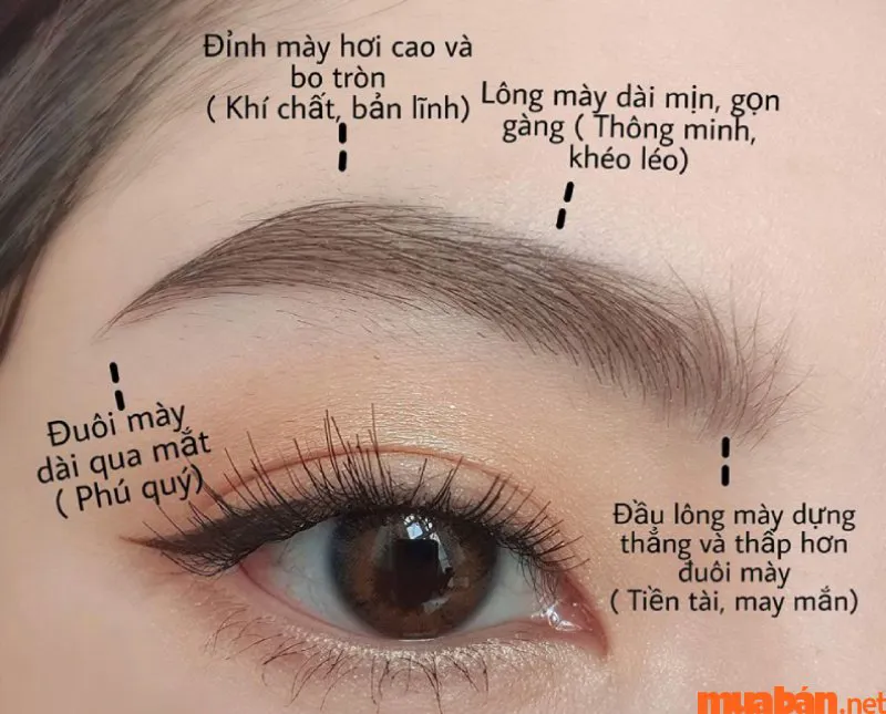 Sở hữu chân mày phong thủy thay đổi vận mệnh, phát tài, phát lộc