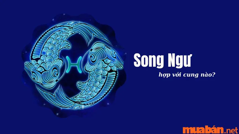 Song Ngư Hợp Với Cung Nào Nhất Trong Tình Yêu Và Tình Bạn?