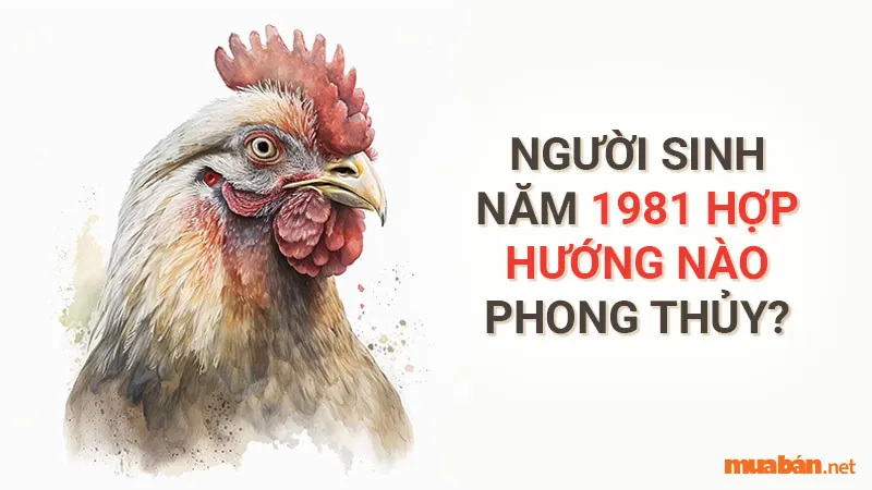 Tân Dậu 1981 hợp hướng nào? Hướng nhà phù hợp tuổi Tân Dậu thu hút tài lộc