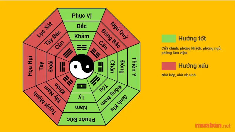 Tân Dậu 1981 hợp hướng nào? Hướng nhà phù hợp tuổi Tân Dậu thu hút tài lộc