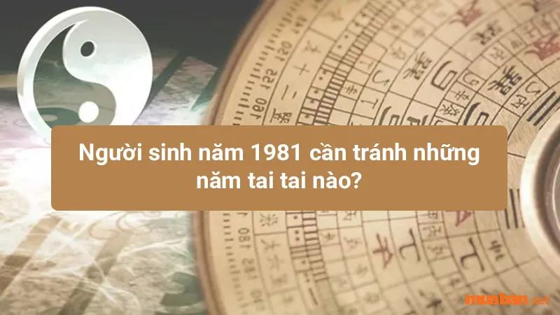 Tân Dậu 1981 hợp hướng nào? Hướng nhà phù hợp tuổi Tân Dậu thu hút tài lộc