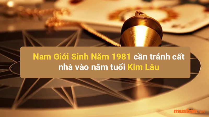 Tân Dậu 1981 hợp hướng nào? Hướng nhà phù hợp tuổi Tân Dậu thu hút tài lộc