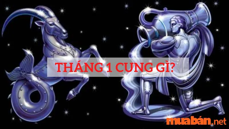 Tháng 1 là cung gì? Vận mệnh, tình yêu và sự nghiệp cung tháng 1