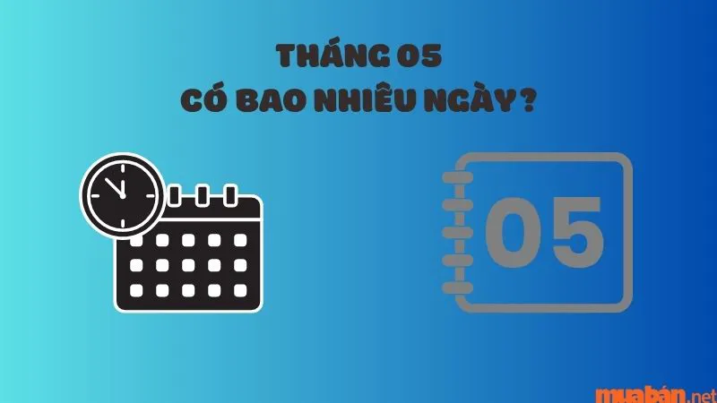 Tháng 5 có bao nhiêu ngày? Những ngày lễ đặc biệt trong tháng 5