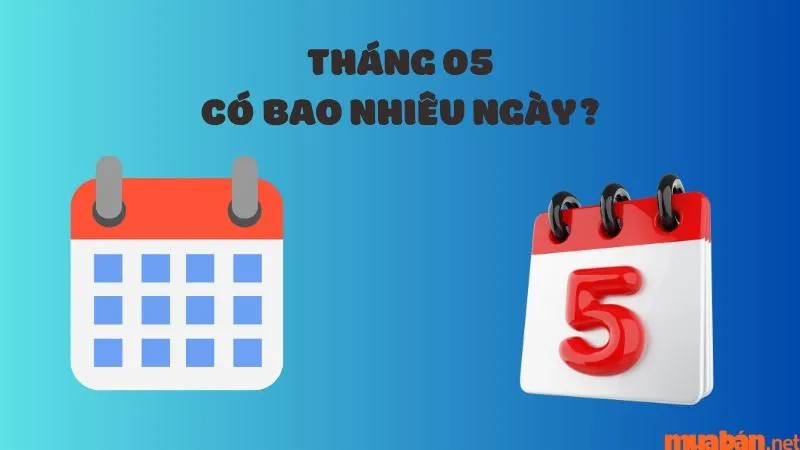 Tháng 5 có bao nhiêu ngày? Những ngày lễ đặc biệt trong tháng 5