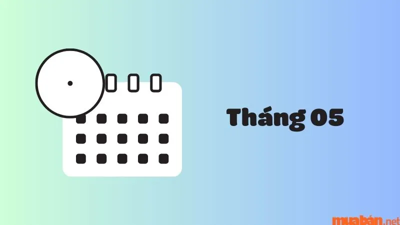 Tháng 5 có bao nhiêu ngày? Những ngày lễ đặc biệt trong tháng 5