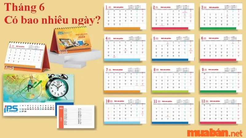 Tháng 6 có bao nhiêu ngày? Những ngày lễ đặc biệt trong tháng 6