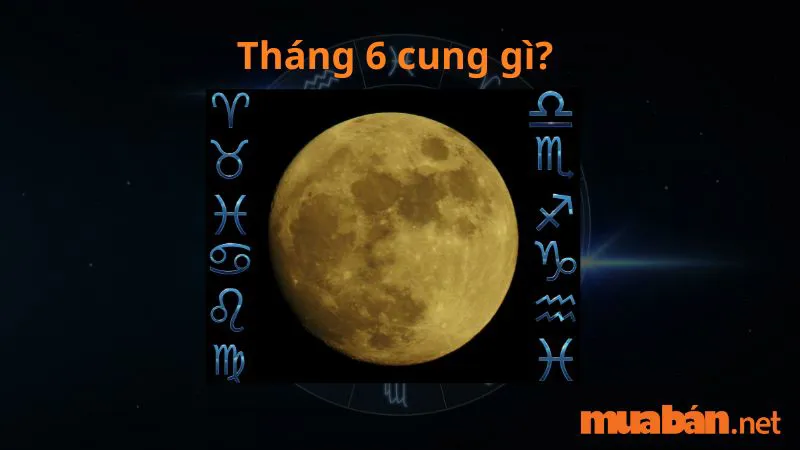 Tháng 6 là cung gì? Vận mệnh, tình yêu và sự nghiệp cung tháng 6