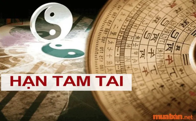 Tiết lộ Ất Mão tuổi 1975 làm nhà năm nào đẹp nhất?