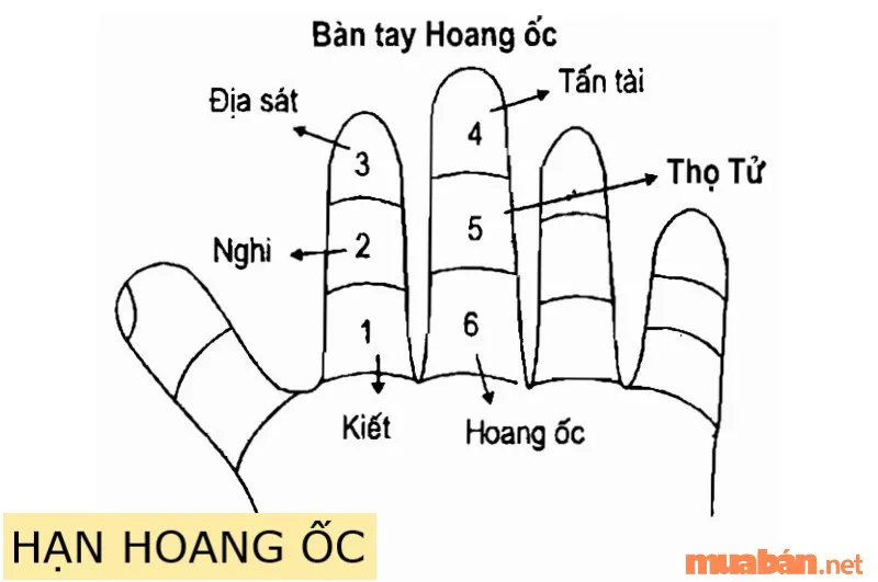 Tiết lộ Ất Mão tuổi 1975 làm nhà năm nào đẹp nhất?