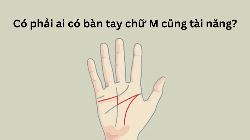 Tiết Lộ Vận Mệnh, Sự Nghiệp, Tình Duyên Người Có Bàn Tay Chữ M