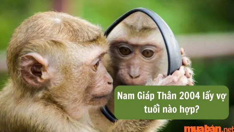 Tìm hiểu tình duyên Giáp Thân nam 2004 lấy vợ tuổi nào hợp nhất?