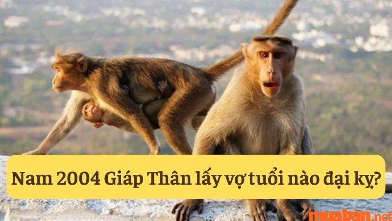 Tìm hiểu tình duyên Giáp Thân nam 2004 lấy vợ tuổi nào hợp nhất?