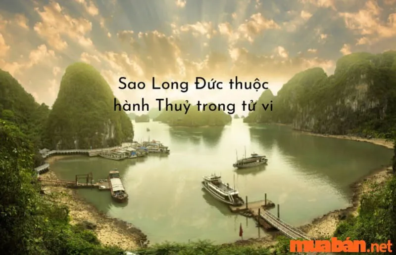 Tìm hiểu về Sao Long Đức và ý nghĩa ở các cung trong tử vi