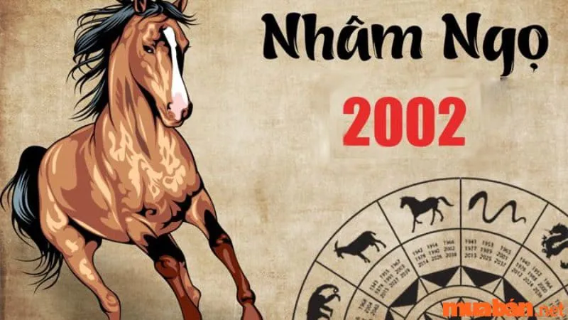 Tình duyên nam sinh năm 2002 lấy vợ tuổi gì hợp nhất?