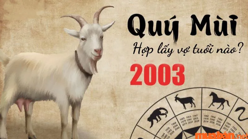 Tình duyên Quý Mùi Nam 2003 lấy vợ tuổi nào hợp nhất?