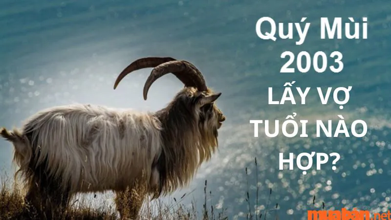 Tình duyên Quý Mùi Nam 2003 lấy vợ tuổi nào hợp nhất?