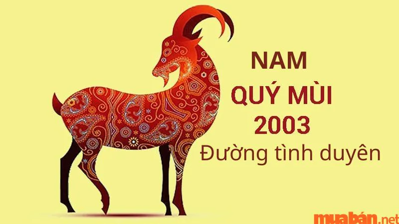 Tình duyên Quý Mùi Nam 2003 lấy vợ tuổi nào hợp nhất?