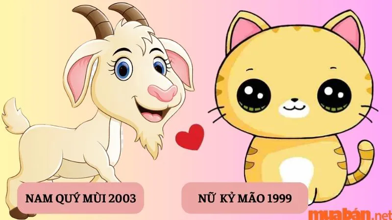 Tình duyên Quý Mùi Nam 2003 lấy vợ tuổi nào hợp nhất?