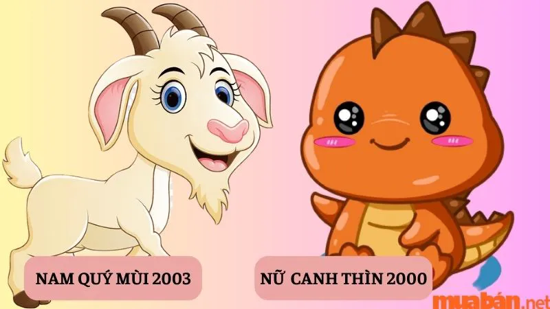 Tình duyên Quý Mùi Nam 2003 lấy vợ tuổi nào hợp nhất?