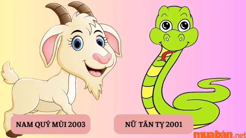 Tình duyên Quý Mùi Nam 2003 lấy vợ tuổi nào hợp nhất?