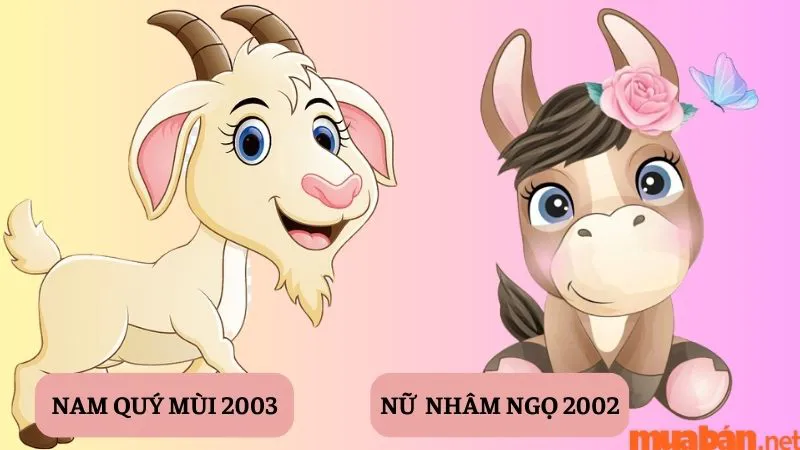 Tình duyên Quý Mùi Nam 2003 lấy vợ tuổi nào hợp nhất?