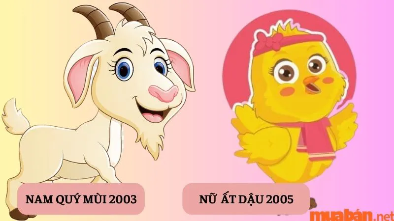 Tình duyên Quý Mùi Nam 2003 lấy vợ tuổi nào hợp nhất?