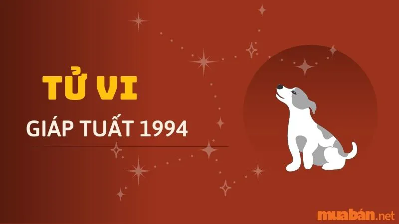 Tử vi tuổi Giáp Tuất 1994 | Luận giải chi tiết cuộc đời nam – nữ Giáp Tuất