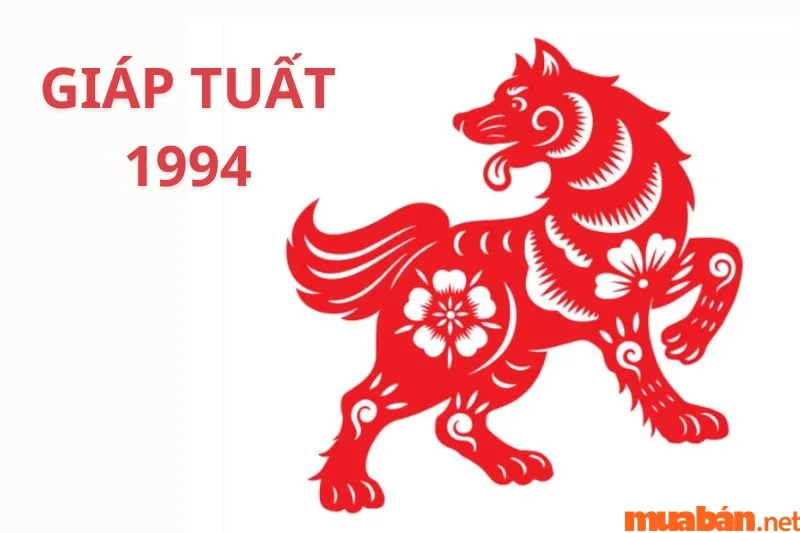 Tử vi tuổi Giáp Tuất 1994 | Luận giải chi tiết cuộc đời nam – nữ Giáp Tuất