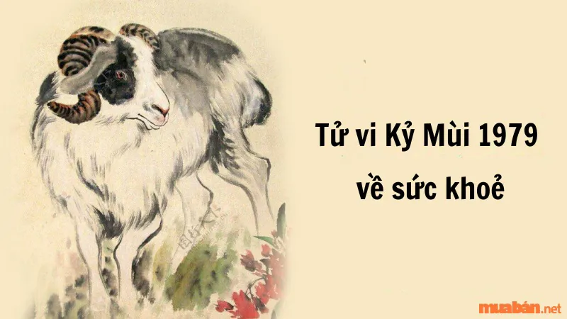 Tử vi tuổi Mùi 1979 – Luận giải chi tiết tử vi trọn đời nam, nữ mạng