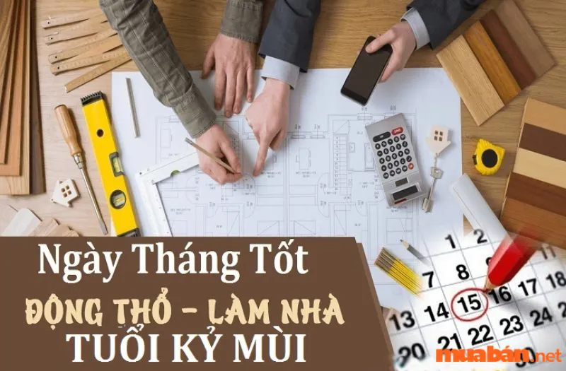 Tử vi tuổi Mùi 1979 – Luận giải chi tiết tử vi trọn đời nam, nữ mạng