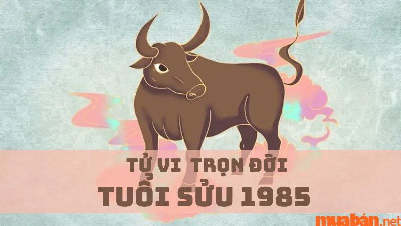 Tử vi tuổi Sửu 1985 trọn đời và dự đoán vận hạn chi tiết nhất