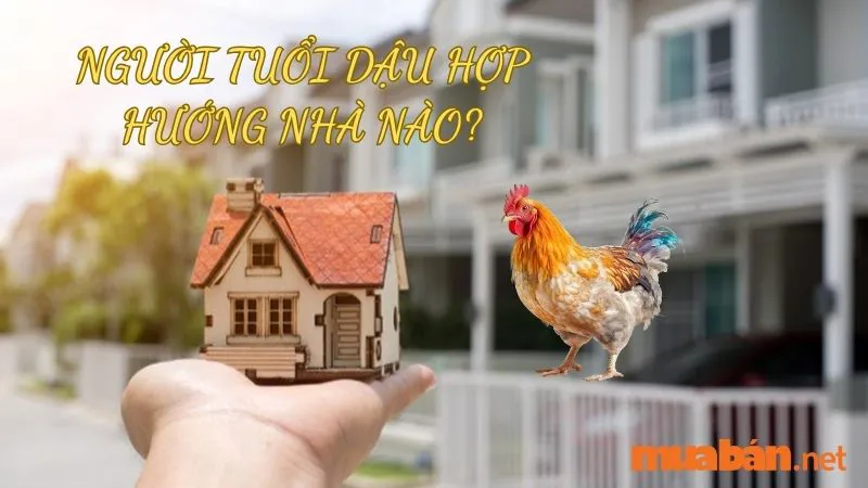 Tuổi Dậu hợp hướng nào? Hướng nhà tài lộc cho người tuổi Dậu