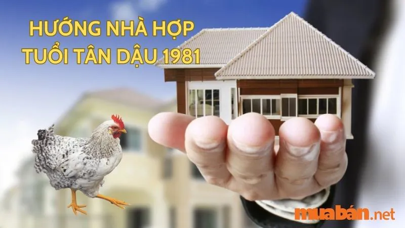 Tuổi Dậu hợp hướng nào? Hướng nhà tài lộc cho người tuổi Dậu